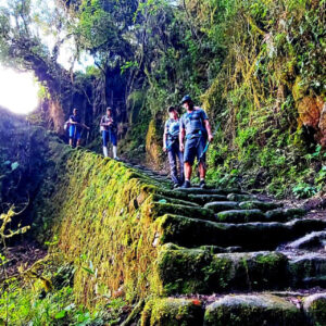 Group trekking down during the the Inca trail to Machu Picchu