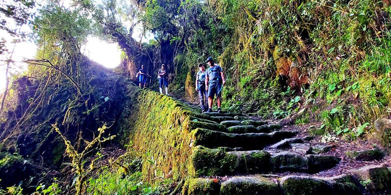 Group trekking down during the the Inca trail to Machu Picchu