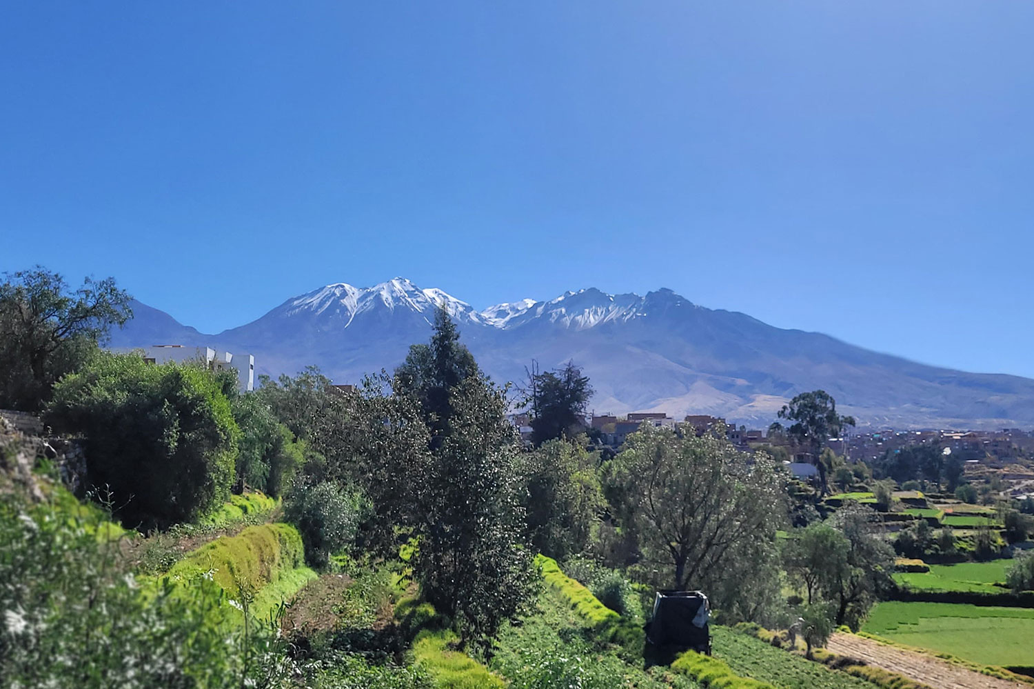 Arequipa Colca Cañon Tour 2D/1N