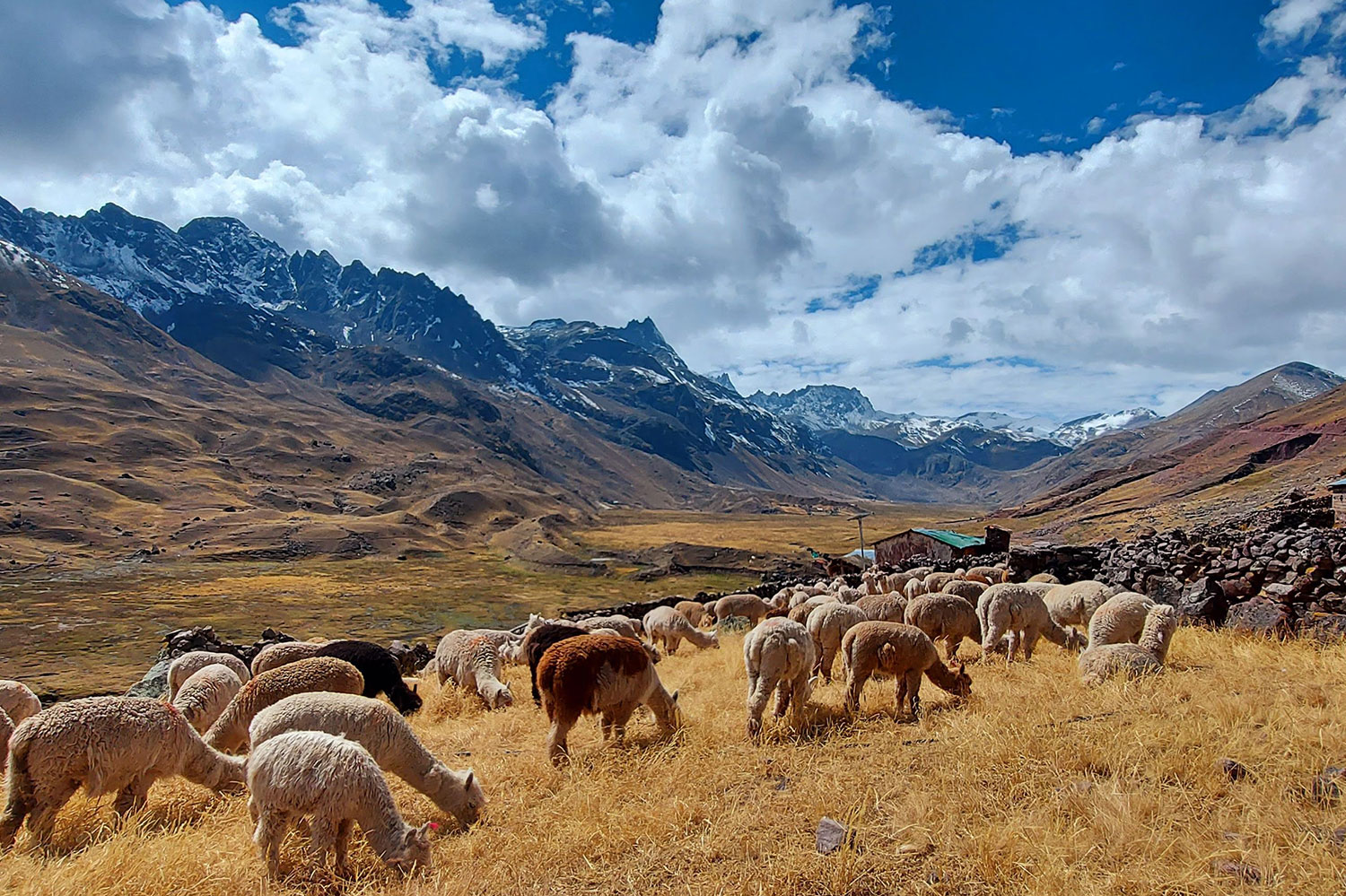 Ausangate Trek with Rainbow Mountain 6D/5N