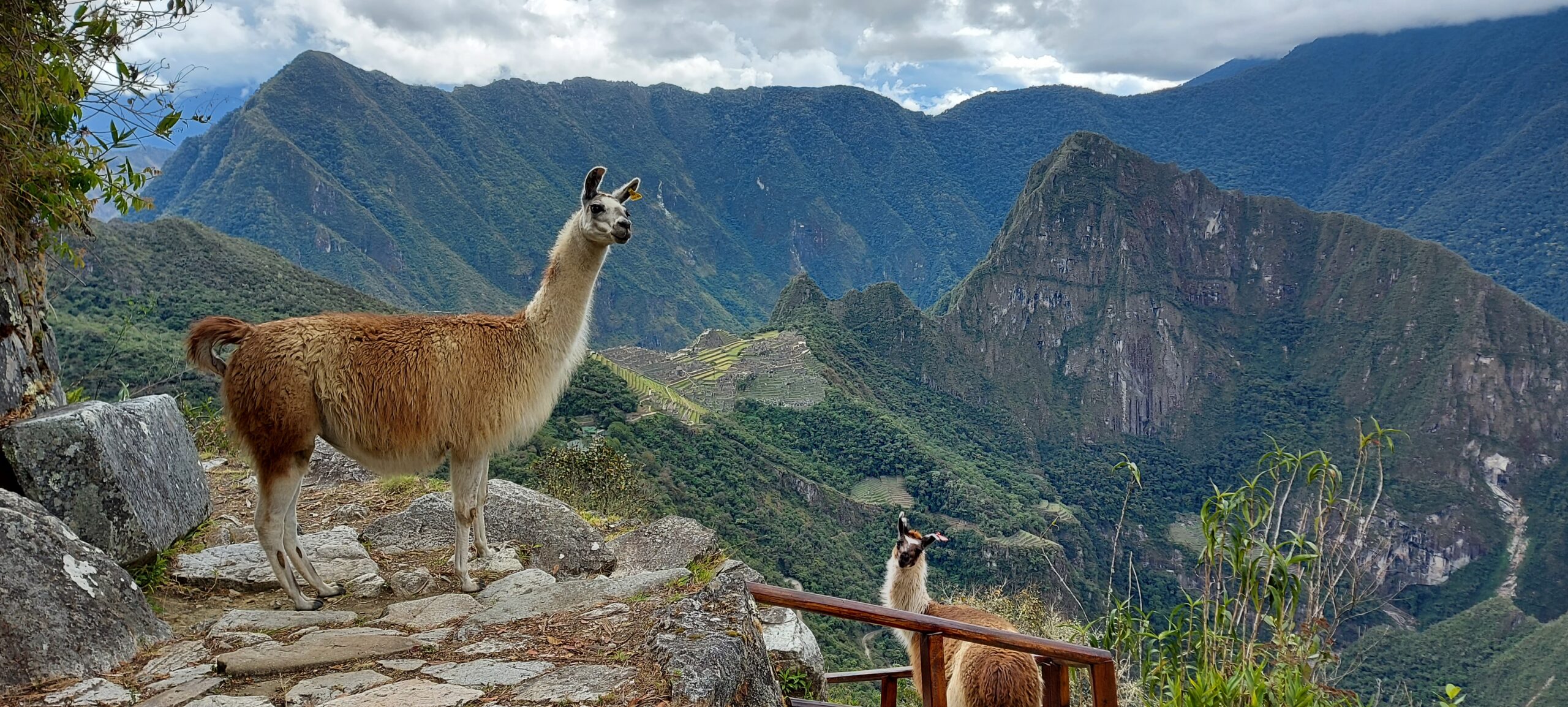 inca trail 2 days